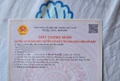 Chủ nhà Thiện Chí Bán căn Biệt Thự 2 tầng sẵn về ở tại Lương Sơn-HB