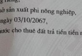 CHO THUÊ / BÁN NHÀ XƯỞNG – ĐỒNG PHÚ, BÌNH PHƯỚC – 32.274m²
