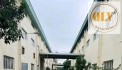 BÁN NHÀ MÁY QUY MÔ LỚN – KCN NHƠN TRẠCH, ĐỒNG NAI – 29.000m²