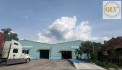 CHO THUÊ / BÁN NHÀ XƯỞNG – BẮC TÂN UYÊN, BÌNH DƯƠNG – 16.797m²