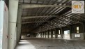 BÁN NHÀ XƯỞNG – KCN BIÊN HÒA 2, ĐỒNG NAI – 20.000m²
