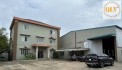 BÁN NHÀ XƯỞNG – KCN BIÊN HÒA 2, ĐỒNG NAI – 20.000m²