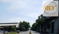 CHO THUÊ CỤM NHÀ XƯỞNG – TÂN HIỆP, TÂN UYÊN, BÌNH DƯƠNG – 60.000m²