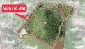 Cần Bán Siêu Lô đất 1000m full đất thổ cư có vị trí đắc địa nằm giữa Khu Du lịch tại Cao Phong-HB