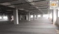 BÁN HOẶC CHO THUÊ NHÀ XƯỞNG CAO TẦNG – KCX TÂN THUẬN, QUẬN 7, TP.HCM – 7.500m²