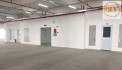BÁN HOẶC CHO THUÊ NHÀ XƯỞNG CAO TẦNG – KCX TÂN THUẬN, QUẬN 7, TP.HCM – 7.500m²