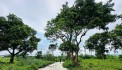 Cần Bán Siêu Lô Đất 255m Giá chỉ nhỉnh 2.x Tỷ Trong Quần Thể Nghỉ Dưỡng tại Lương Sơn-HB