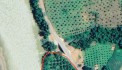 CẦN BÁN LÔ ĐẤT BÁM SÔNG BÔI VIEW CỰC ĐẸP TẠI MỊ HÒA - KIM BÔI - HÒA BÌNH