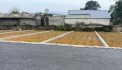 CẦN BÁN LÔ ĐẤT SIÊU ĐẸP, RẺ NHẤT KHU VỰC TẠI NHUẬN TRẠCH-LƯƠNG SƠN-HB