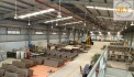 BÁN NHÀ XƯỞNG XÃ PHƯỚC TÂN, TP. BIÊN HÒA, ĐỒNG NAI - 2.248m²