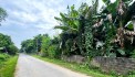 Cần Bán Lô Đất Siêu đẹp ngay trục chính Apphan có 300m đất Thổ Cư tại Lương Sơn-HB