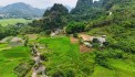 Đất nghỉ dưỡng chỉ hơn 1,xxx tỷ xíu tại Đú Sáng-Kim Bôi-HB