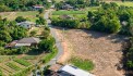 Cần bán nhanh miếng đất vườn 650m2 có 50m2 thổ cư, nở hậu, giá 1 tỷ 7 tại đường cây trôm mỹ khánh, thái mỹ, củ chi, SG.