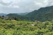 CẦN BÁN LÔ ĐẤT 1000m ĐẤT CẠNH KHU KHAI THÁC DU LỊCH KIM BÔI NGAY TẠI XÓM KHÚ-KIM BÔI-HB