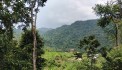 CẦN BÁN LÔ ĐẤT 1000m ĐẤT CẠNH KHU KHAI THÁC DU LỊCH KIM BÔI NGAY TẠI XÓM KHÚ-KIM BÔI-HB