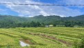 CẦN BÁN LÔ ĐẤT 1000m ĐẤT CẠNH KHU KHAI THÁC DU LỊCH KIM BÔI NGAY TẠI XÓM KHÚ-KIM BÔI-HB