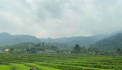 CẦN BÁN LÔ ĐẤT 1000m ĐẤT CẠNH KHU KHAI THÁC DU LỊCH KIM BÔI NGAY TẠI XÓM KHÚ-KIM BÔI-HB