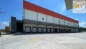 CHO THUÊ KHO CHUẨN LOGISTICS TẠI THÀNH PHỐ MỚI, BÌNH DƯƠNG – 36.000m²