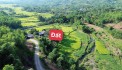 NGHỈ DƯỠNG MAI CHÂU CHỦ CẮT LỖ LÔ ĐẤT GẦN 3000M, SẴN NHÀ, VỆ SINH KIÊN CỐ TẠI MAI CHÂU-HB
