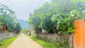 CẦN TIỀN BÁN LÔ ĐẤT ĐƯỜNG LỚN 100m FULL THỔ CƯ TẠI THANH SƠN-LƯƠNG SƠN-HB