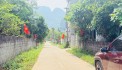 CẦN TIỀN BÁN LÔ ĐẤT ĐƯỜNG LỚN 100m FULL THỔ CƯ TẠI THANH SƠN-LƯƠNG SƠN-HB