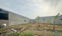 LÔ ĐẤT 202 CỰC ĐẸP GIÁ RẺ TẠI GẦN HỒ ĐỒNG CHANH GIÁ 2,x TỶ TẠI NHUẬN TRẠCH-LƯƠNG SƠN-HB