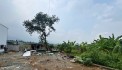 CHỈ HƠN 1 TỶ CÓ NGAY LÔ ĐẤT 80M MẶT TIỀN HIẾM 6M TẠI ĐỒNG CHANH-LƯƠNG SƠN-HB