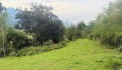 NGHỈ DƯỠNG VIEW SIÊU ĐẸP 2 MẶT TIỀN HƠN 3000M NHỈNH 1 TỶ TẠI GIA MÔ-TÂN LẠC-HB