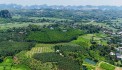 LÔ ĐẤT RẺ NHẤT CAO DƯƠNG GẦN 1200m CHỈ NHỈNH 1,x TỶ TẠI CAO DƯƠNG-LƯƠNG SƠN-HB