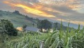 BÁN LÔ ĐẤY VIEW HỒ CẮT LỖ SÂU HƠN 2600m GIÁ NHỈNH 1 Tỷ TẠI CAO PHONG-HB