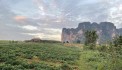 BÁN LÔ ĐẤY VIEW HỒ CẮT LỖ SÂU HƠN 2600m GIÁ NHỈNH 1 Tỷ TẠI CAO PHONG-HB